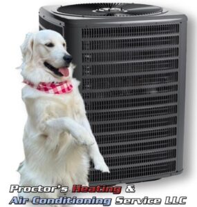 Pet HVAC clean
